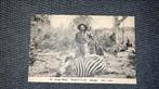 Belgisch Congo :Postkaart : Katanga: Zebra, Verzamelen, Ophalen of Verzenden