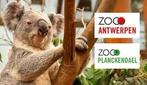 Zoo Planckendael of Antwerpen, Tickets en Kaartjes