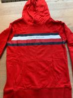 Tommy Hilfiger rode trui met kap maat 164, Trui of Vest, Ophalen of Verzenden, Jongen, Tommy Hilfiger
