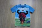 1€ Maat 122 128 T-Shirt Angry Birds, Kinderen en Baby's, Jongen, Gebruikt, Ophalen of Verzenden, Shirt of Longsleeve
