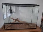 Terra en verre 120x45x90 + UVB et barre LED Arcadia lumenize, Dieren en Toebehoren, Ophalen, Zo goed als nieuw, Terrarium of Paludarium