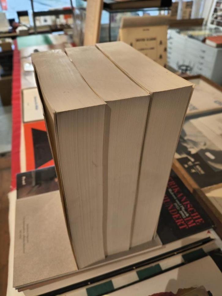 Gents woordenboek, Boeken, Geschiedenis | Stad en Regio, Gelezen, Ophalen of Verzenden