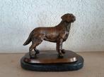Bronzen labrador, Antiek en Kunst, Antiek | Brons en Koper, Ophalen