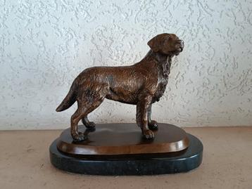 Bronzen labrador  beschikbaar voor biedingen