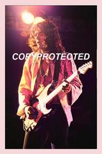 Deep Purple, Ophalen of Verzenden