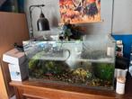 Schildpad verblijf, Animaux & Accessoires, Reptiles & Amphibiens | Accessoires, Enlèvement, Utilisé, Autres types