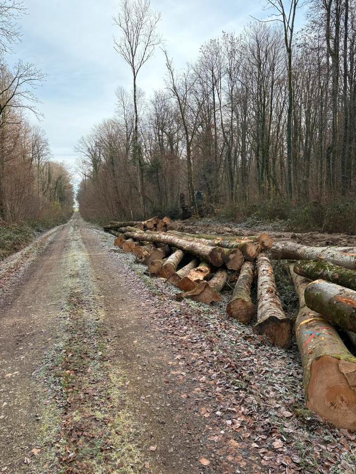 Bous de chauffage par camion, Tuin en Terras, Brandhout, Ophalen