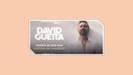 David Guetta - Concert Chambord