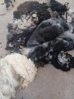 Wol Van Schapen, Dieren en Toebehoren, Meerdere dieren, Schaap