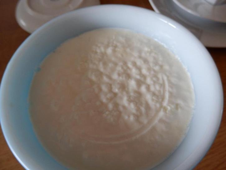 kefirknolletjes met bereidingshandleiding, Sport en Fitness, Gezondheidsproducten en Wellness, Ophalen