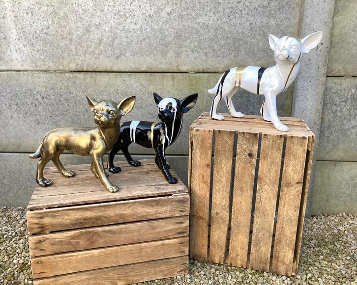 Chihuahua beeld H 32cm, Tuin en Terras, Tuinbeelden, Nieuw, Dierenbeeld, Overige materialen, Ophalen
