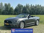 Ford Mustang Cabriolet 2015 | Route 66 auctions, Auto's, Automaat, Gebruikt, Cabriolet, Bedrijf