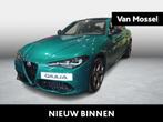 Alfa Romeo Giulia 2.0 T GME AWD Tributo Italiano, Autos, Alfa Romeo, Cuir, Achat, Entreprise, 1545 kg