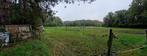 WEIDE TE KOOP, Dieren en Toebehoren, Stalling en Weidegang, Weidegang, 2 of 3 paarden of pony's