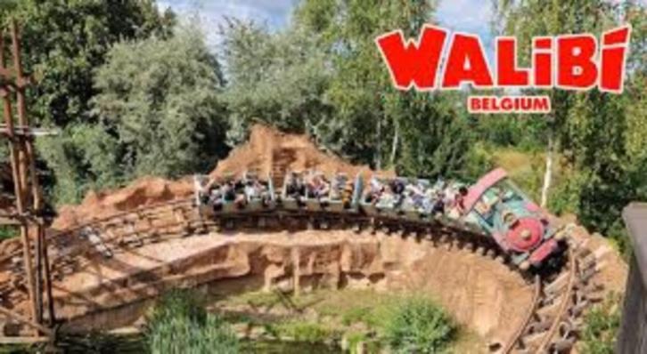 walibi of bellewaerde tickets 18 euro /stuk, Tickets en Kaartjes, Recreatie | Pretparken en Attractieparken