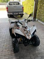 KYMCO  MAXXER QUAD, Motoren