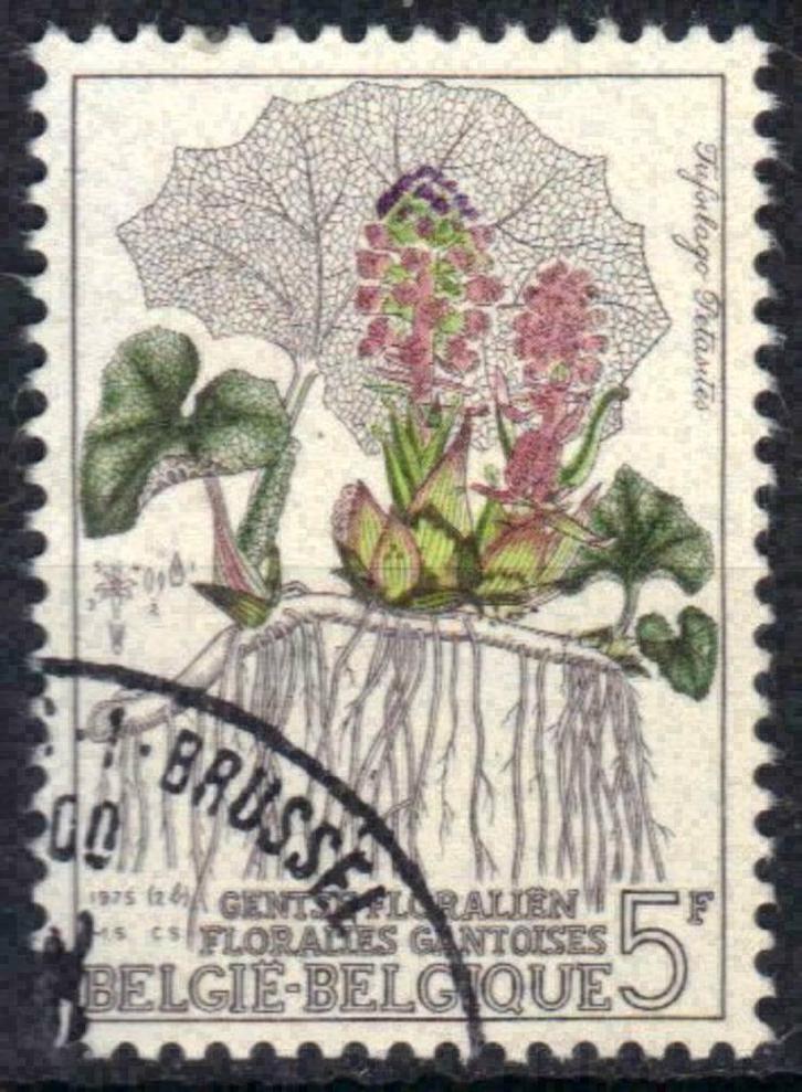 Belgie 1975 - Yvert 1742/OBP 1749 - Gent Floralien V (ST), Postzegels en Munten, Postzegels | Europa | België, Gestempeld, Gestempeld