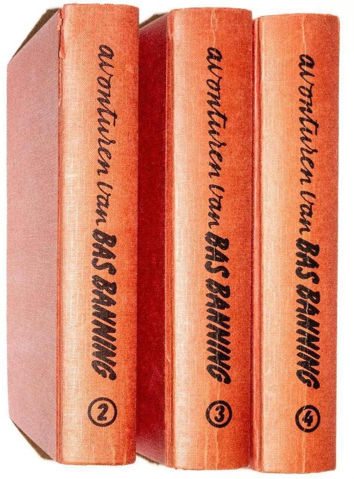 BAS BANNING - OMNIBUS  DELEN 2, 3 EN 4, Boeken, Kinderboeken | Jeugd | 13 jaar en ouder, Gelezen, Fictie, Ophalen of Verzenden