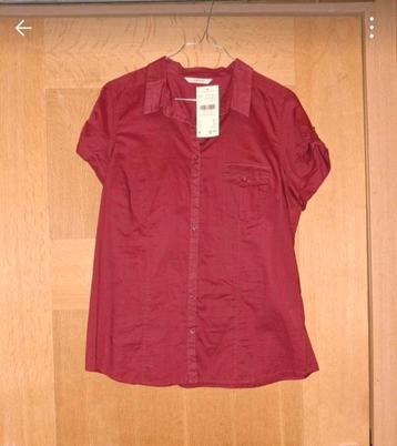 Gros lot de vêtements curvy, Enlèvement, Comme neuf, Robe