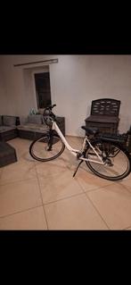 Vélo électrique Minerva, Enlèvement