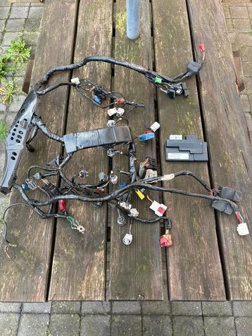 Honda sc59 HRC ECU+KABELBOOM beschikbaar voor biedingen