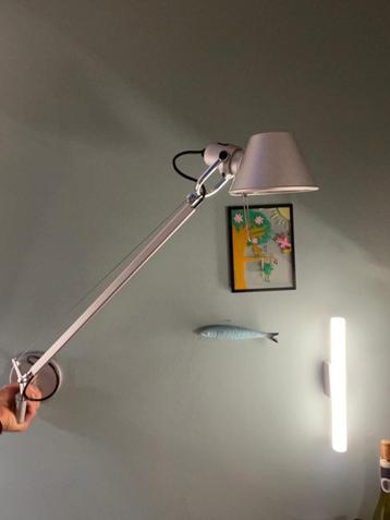 Applique Tolomeo beschikbaar voor biedingen