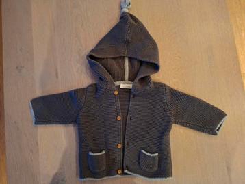 Next Baby Gebreid Vestje met Capuchon beschikbaar voor biedingen