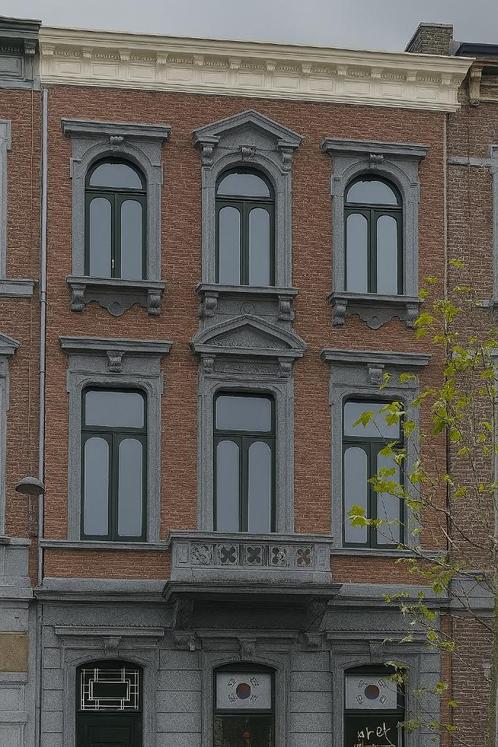 HUIS VAN RAPPORT, Immo, Huizen en Appartementen te koop, Luik (stad), 200 tot 500 m², Tussenwoning, D