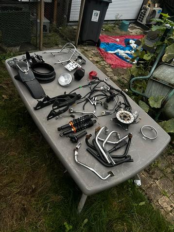 Lot dax monkey chaly beschikbaar voor biedingen