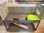 Cage lapin, Enlèvement, Comme neuf, Cage, Cobaye