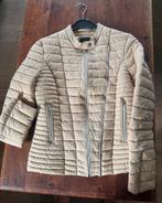 Guess jasje, Kleding | Dames, Ophalen of Verzenden, Gedragen, Maat 38/40 (M), Overige kleuren