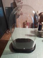 Glazen stolp, Maison & Meubles, Accessoires pour la Maison | Cloches, Enlèvement, Comme neuf