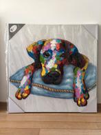 Kleurrijke hond op canvas 80 x 80 cm. Nieuw., Antiek en Kunst, Ophalen