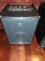 SR Technology JAM 100 – akoestische versterker – 100 W, Muziek en Instrumenten, Ophalen, Gebruikt, Gitaar, 50 tot 100 watt