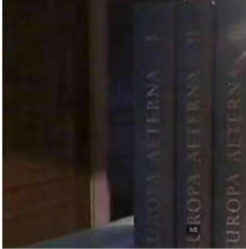 Trois volumes de "Europa Aeterna" ., Boeken, Encyclopedieën, Zo goed als nieuw, Complete serie, Ophalen of Verzenden