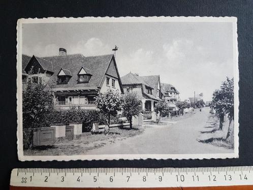 Postkaart De Den Haan a/Zee Coq s/Mer Rubenslaan, Collections, Cartes postales | Belgique, Non affranchie, Flandre Occidentale