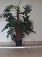 Valse palm/kamer/decoratie ,100cm, Zo goed als nieuw, Ophalen