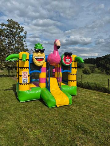 Chateau gonflable tropical  beschikbaar voor biedingen