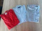 3 truitje Tommy maat small, Kleding | Dames, Truien en Vesten, Tommy hilfiger, Overige kleuren, Ophalen of Verzenden, Maat 36 (S)