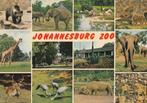 DIEREN  JOHANNESBURG  ZOO, Verzamelen, Postkaarten | Dieren, Verzenden, Ongelopen, Overige soorten