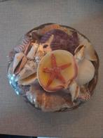 Rotan geschenkmandje schelpen., Verzamelen, Mineralen en Fossielen, Ophalen of Verzenden, Schelp(en)