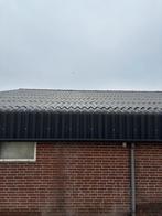 Golfplaten van 2021 [966], Dieren en Toebehoren