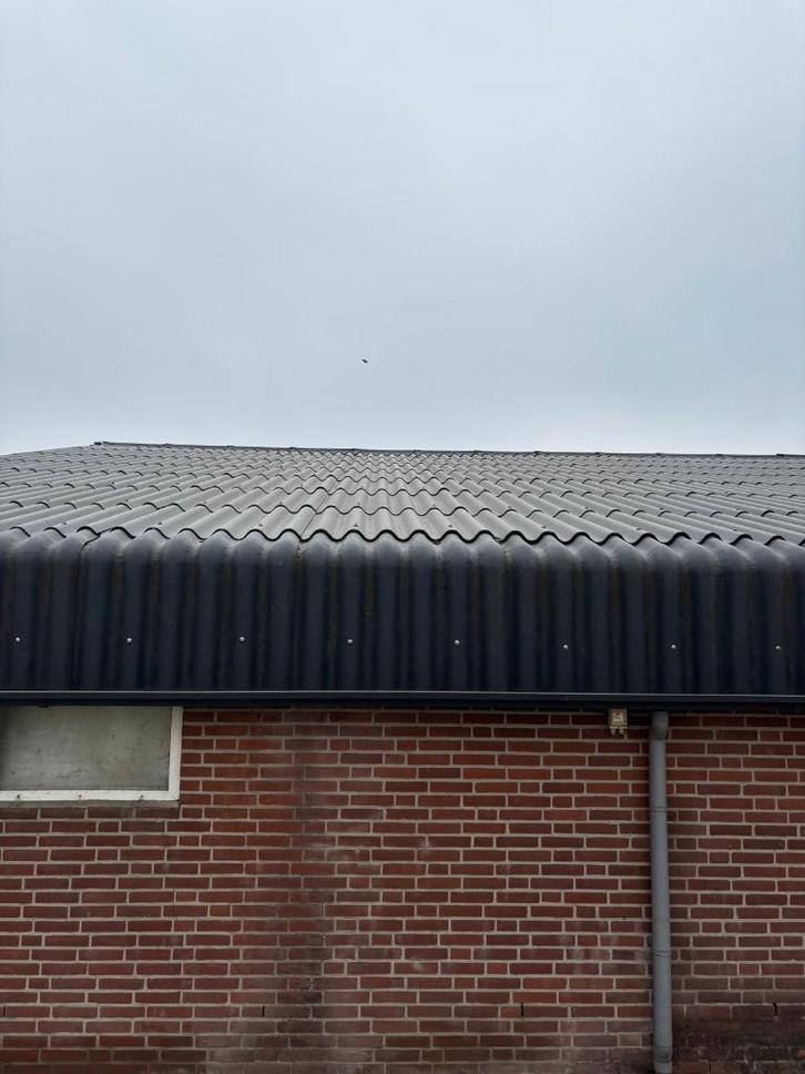 Golfplaten van 2021 [966], Dieren en Toebehoren, Stalling en Weidegang