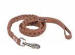 Laisse tressée en cuir, Ophalen, Nieuw, Hondenriem