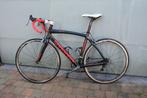 Koersfiets Carrara, carbon, maat 54, Gebruikt, Carbon, Heren, 53 tot 57 cm