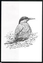 Postzegels België : Diverse zwart/wit velletjes en andere, Postzegels en Munten, Postzegels | Europa | België, Ophalen of Verzenden