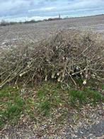 Hout om te hakselen, Tuin en Terras, Ophalen, Overige houtsoorten, Takken