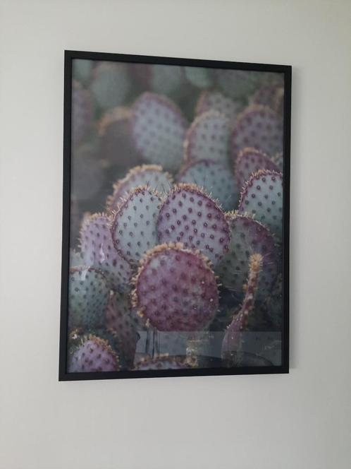 Prachtig schilderij achter glas "Pink opuntia", Huis en Inrichting, Woonaccessoires | Schilderijen, Tekeningen en Foto's, Nieuw