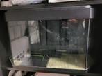 Aquarium 200liter met 2 afgeschuinde hoeken., Dieren en Toebehoren, Ophalen, Gebruikt, Leeg aquarium