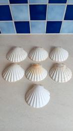 Set van 7 „Saint-Jacques” schelpen om te vullen, Huis en Inrichting, Keuken | Servies, Overige materialen, Overige typen, Ophalen of Verzenden